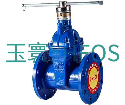 带锁弹性密封闸阀（锁闭闸阀）--带锁Z45X